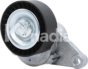 K'nadian 90539 - Tendeur de courroie, courroie trapézoïdale à nervures droxauto.com