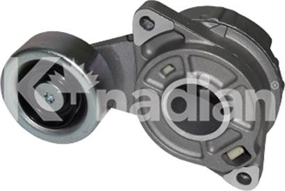 K'nadian 90688 - Tendeur de courroie, courroie trapézoïdale à nervures droxauto.com