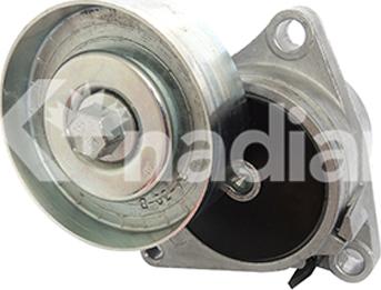 K'nadian 90322 - Tendeur de courroie, courroie trapézoïdale à nervures droxauto.com