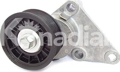 K'nadian 90253 - Tendeur de courroie, courroie trapézoïdale à nervures droxauto.com