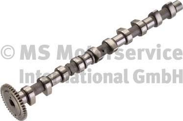 Kolbenschmidt 50006391 - Arbre à came droxauto.com