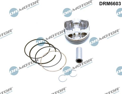 Lizarte DRM6603 - Piston droxauto.com