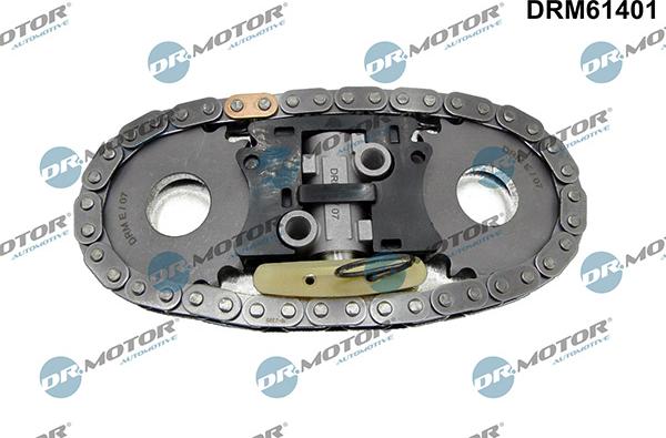 Lizarte DRM61401 - Kit de distribution par chaîne droxauto.com