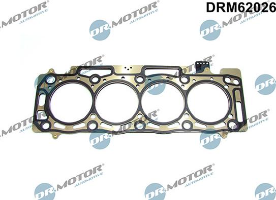 Lizarte DRM62026 - Joint d'étanchéité, culasse droxauto.com