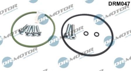 Lizarte DRM047 - Kit de réparation, pompe à vide (freinage) droxauto.com