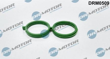 Lizarte DRM0509 - Joint, contrôle de ralenti droxauto.com