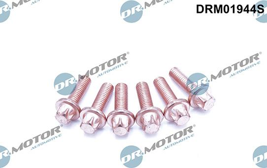 Lizarte DRM01944S - Vis, système d'échappement droxauto.com