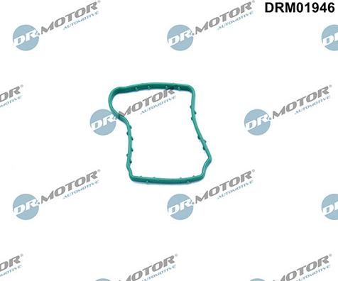 Lizarte DRM01946 - Joint spi de vilebrequin, ventilation du carter-moteur droxauto.com