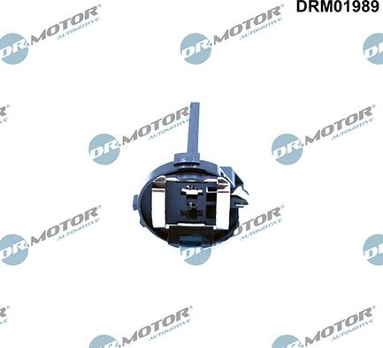 Lizarte DRM01989 - Douille de lampe, projecteur principal droxauto.com