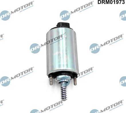 Lizarte DRM01973 - Valve de commande, réglage d'arbres à came droxauto.com