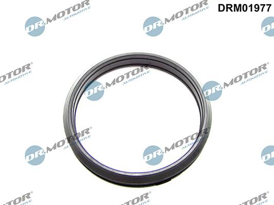 Lizarte DRM01977 - Bague d'étanchéité, gaine de suralimentation droxauto.com
