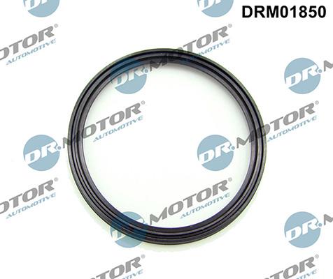 Lizarte DRM01850 - Bague d'étanchéité, gaine de suralimentation droxauto.com
