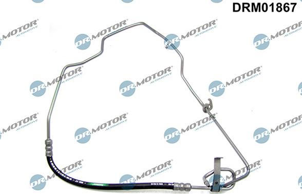 Lizarte DRM01867 - Tuyau hydraulique, direction droxauto.com