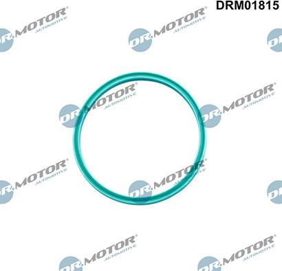 Lizarte DRM01815 - Bague d'étanchéité, gaine de suralimentation droxauto.com