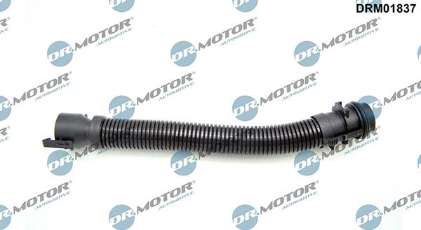 Lizarte DRM01837 - Tuyau, ventilation de carter-moteur droxauto.com