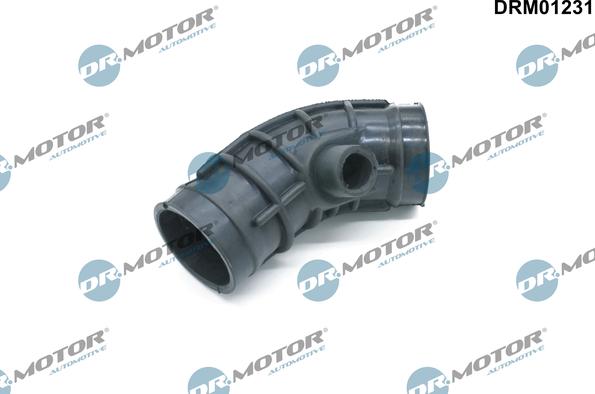 Lizarte DRM01231 - Tuyau d'aspiration, alimentation d'air droxauto.com