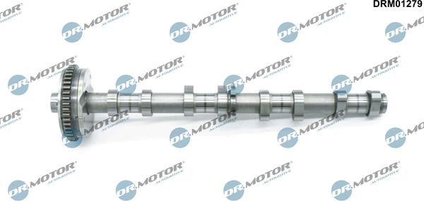 Lizarte DRM01279 - Arbre à came droxauto.com