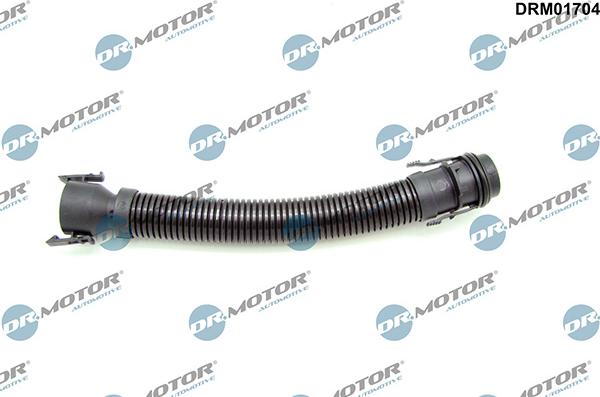 Lizarte DRM01704 - Tuyau, ventilation de carter-moteur droxauto.com
