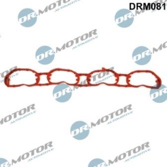 Lizarte DRM081 - Joint d'étanchéité, collecteur d'admission droxauto.com