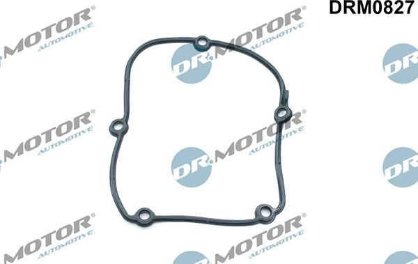 Lizarte DRM0827 - Joint d'étanchéité, carter de distribution droxauto.com