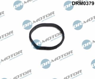 Lizarte DRM0379 - Joint d'étanchéité, carter de distribution droxauto.com