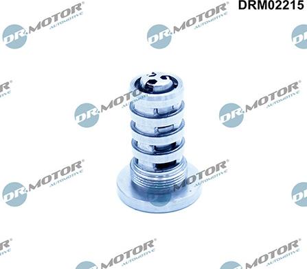 Lizarte DRM02215 - Valve de commande, réglage d'arbres à came droxauto.com