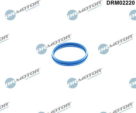 Lizarte DRM02220 - Joint d'étanchéité, carter de collecteur d'admission droxauto.com