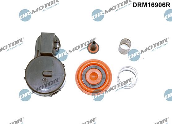 Lizarte DRM16906R - Diaphragme, ventilation du carter-moteur droxauto.com