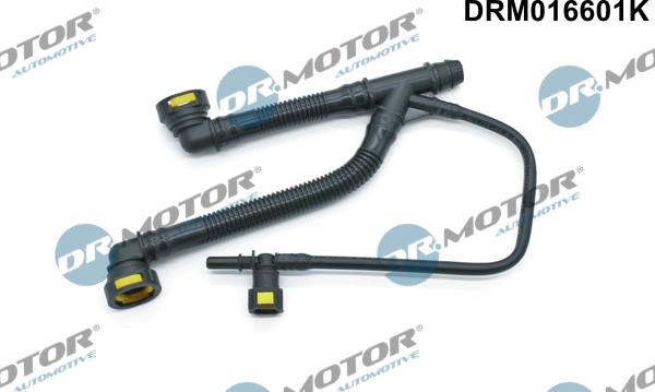 Lizarte DRM16601K - Tuyau, ventilation de carter-moteur droxauto.com