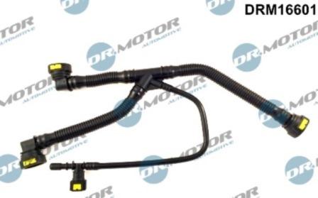 Lizarte DRM16601 - Tuyau, ventilation de carter-moteur droxauto.com