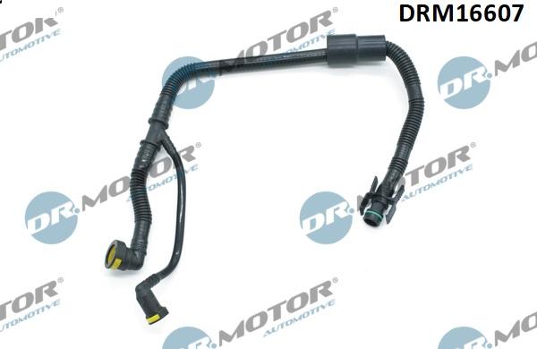 Lizarte DRM16607 - Tuyau, ventilation de carter-moteur droxauto.com