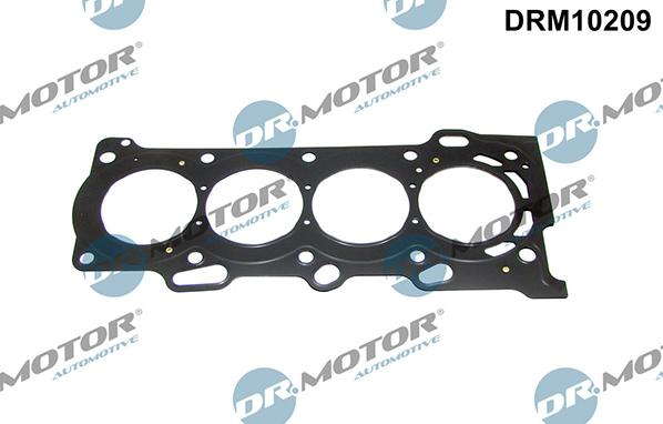 Lizarte DRM10209 - Joint d'étanchéité, culasse droxauto.com