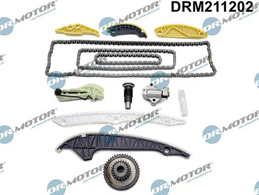 Lizarte DRM211202 - Kit de distribution par chaîne droxauto.com