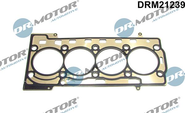 Lizarte DRM21239 - Joint d'étanchéité, culasse droxauto.com