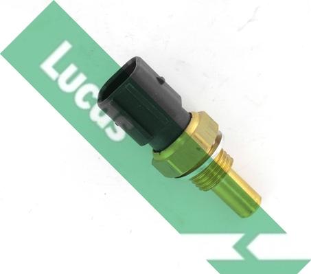LUCAS SNB982 - Sonde de température, liquide de refroidissement droxauto.com