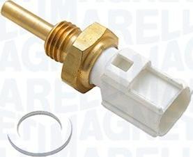 Magneti Marelli 171916011620 - Sonde de température, liquide de refroidissement droxauto.com