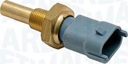 Magneti Marelli 171916011280 - Sonde de température, liquide de refroidissement droxauto.com