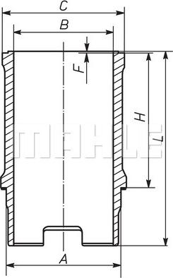 MAHLE 029 WN 16 00 - Chemise de cylindre droxauto.com