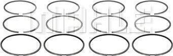 MAHLE A0010450 - Jeu de segments de pistons droxauto.com
