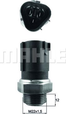 MAHLE TSW 62 - Interrupteur de température, ventilateur de radiateur droxauto.com