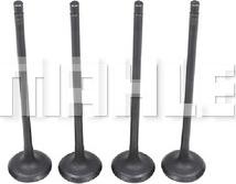 MAHLE VA5511554 - Soupape d'admission droxauto.com