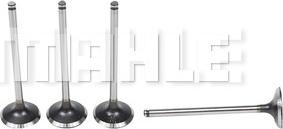 MAHLE VA0440579 - Soupape d'admission droxauto.com