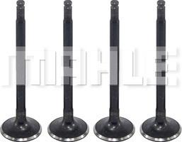 MAHLE VA0480233 - Soupape d'admission droxauto.com