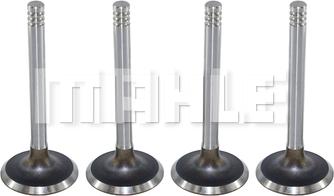 MAHLE VA0590066 - Soupape d'admission droxauto.com