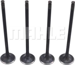 MAHLE VA0510265 - Soupape d'admission droxauto.com