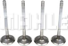 MAHLE VA0570250 - Soupape d'admission droxauto.com
