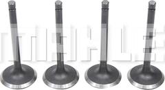 MAHLE VA0630213 - Soupape d'admission droxauto.com