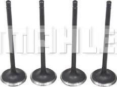 MAHLE VA0631550 - Soupape d'admission droxauto.com