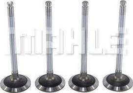 MAHLE VA0010211 - Soupape d'admission droxauto.com