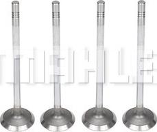 MAHLE VA0011475 - Soupape d'admission droxauto.com